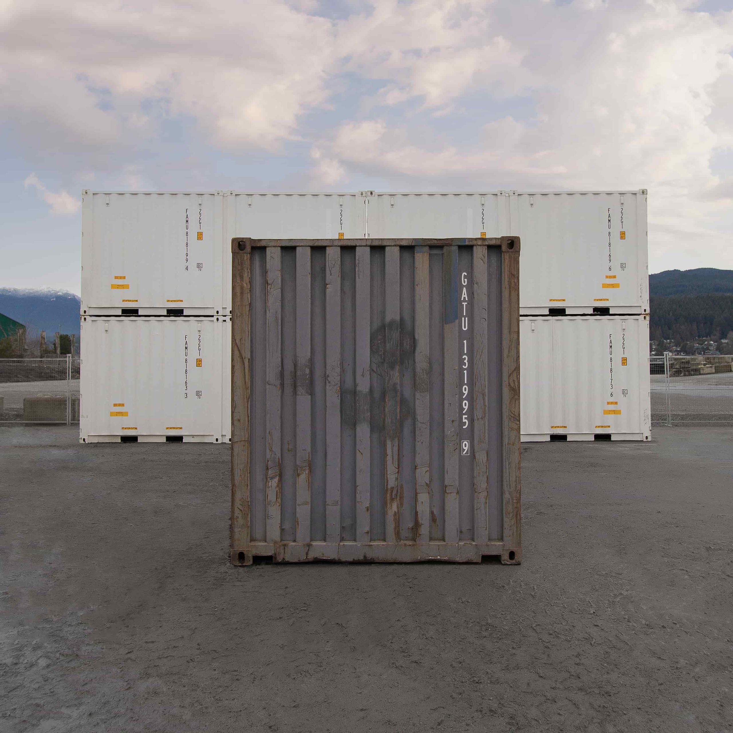 20&prime; Used Shipping Container - Backstorage Containers LLC